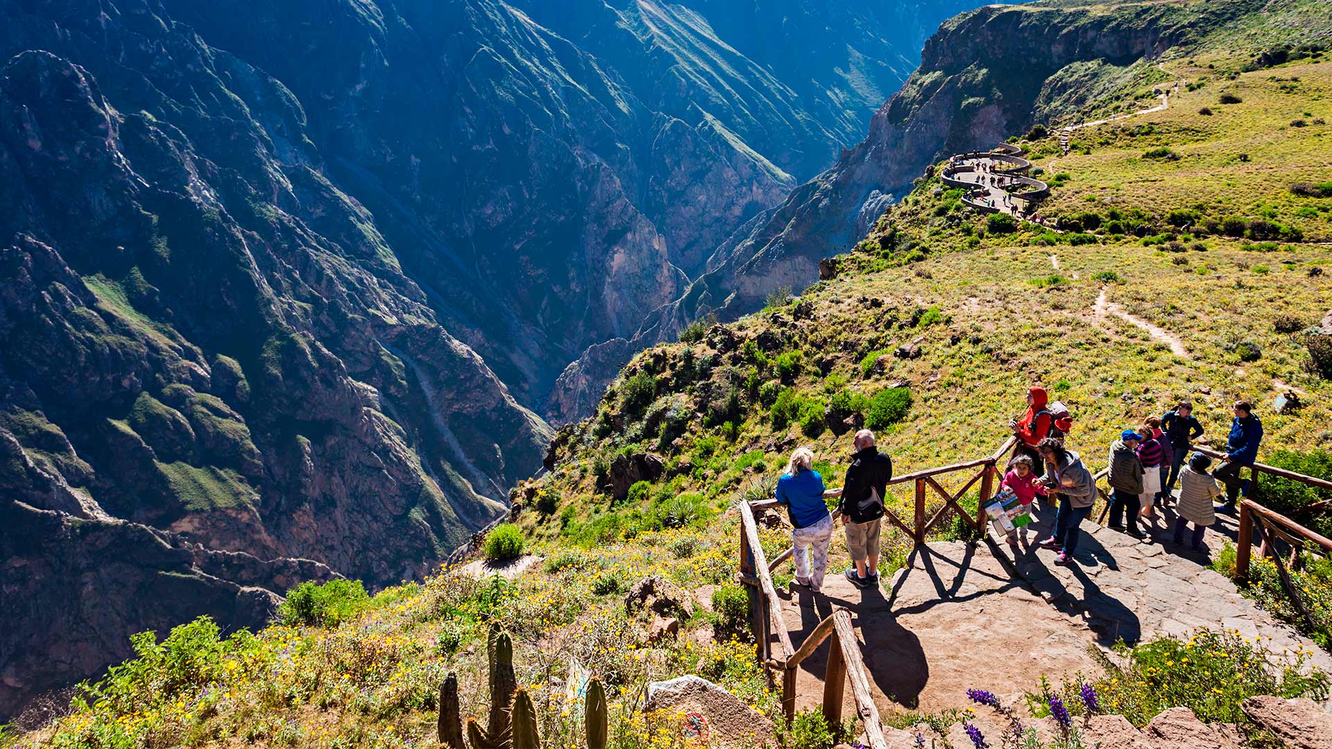 CAÑON DEL COLCA PARA ESTUDIANTE 3 DIAS/2 NOCHES
